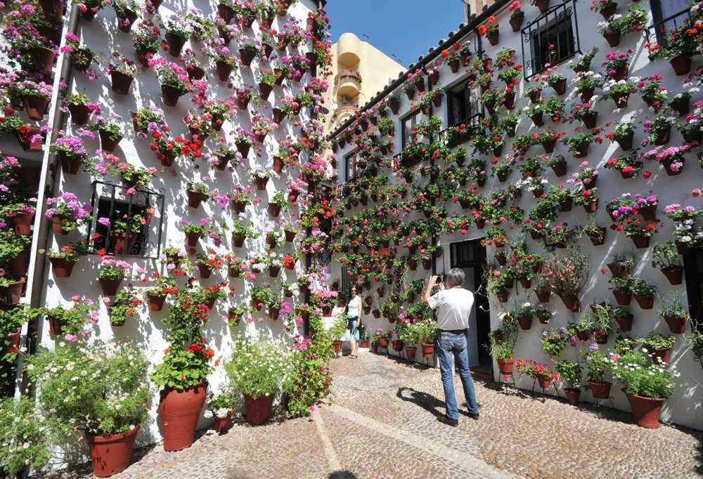 Ferienwohnung Suenos De La Juderia Cplace Ecologico Córdoba Exterior foto